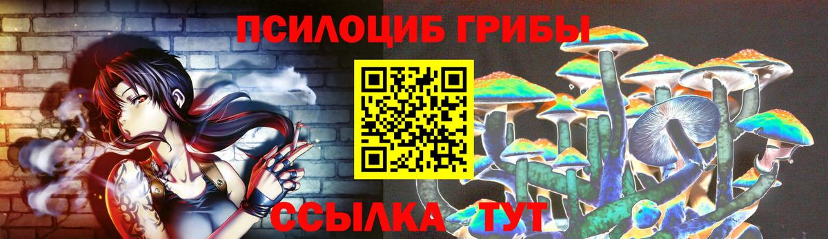 даркнет сайт  Псилоцибиновые грибы мухоморы  Вход с VPN  Горно-Алтайск 